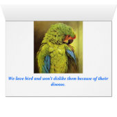 China Scene (Inside Horizontal (Bottom))