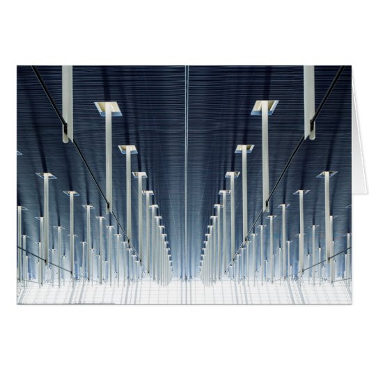 China, Shanghai | Pudong International Airport (Front Horizontal)