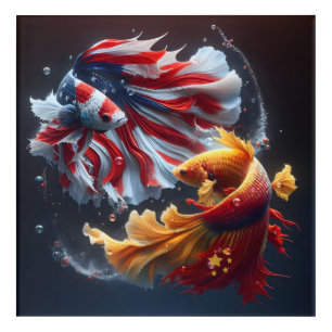 China vs. America Betta Fighting Fish Acrylic Print