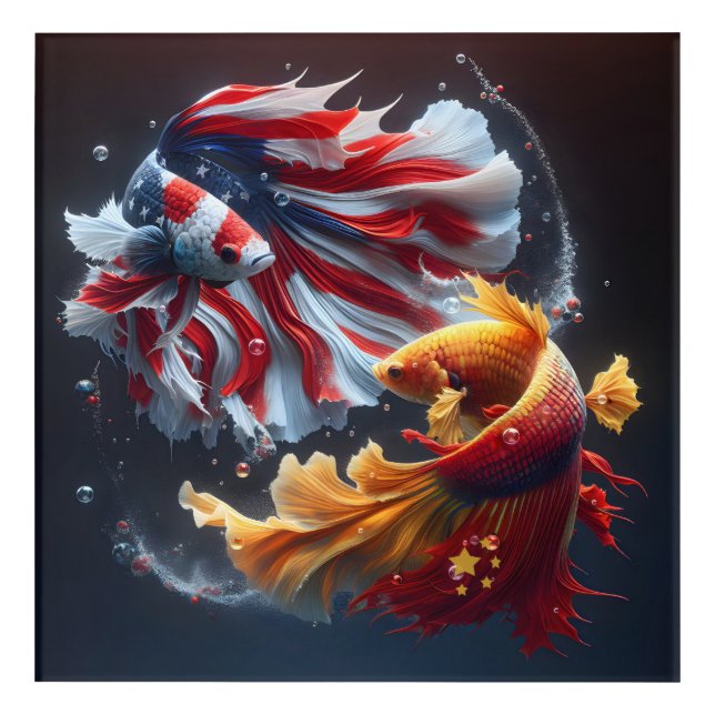 China vs. America Betta Fighting Fish Acrylic Print (Front)
