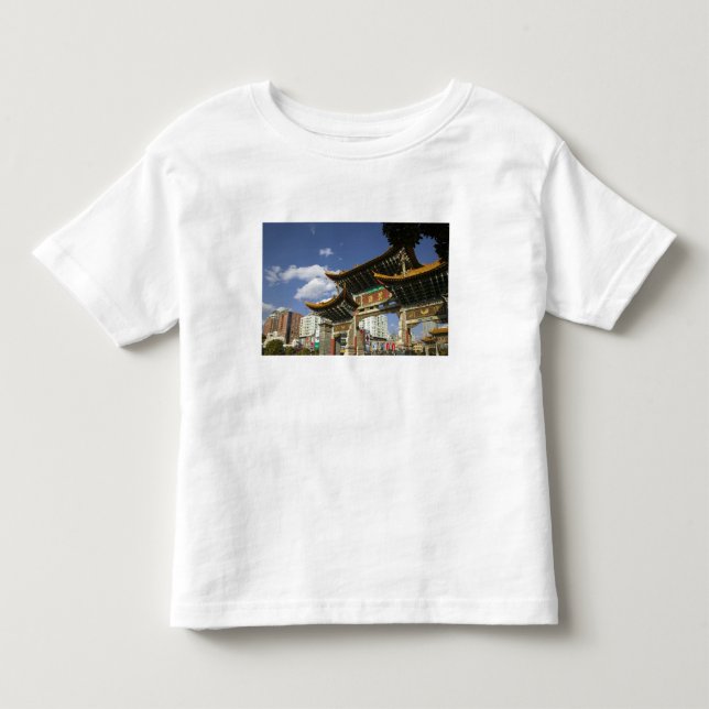 CHINA, Yunnan Province, Kunming. Memorial Arch Toddler T-shirt (Front)