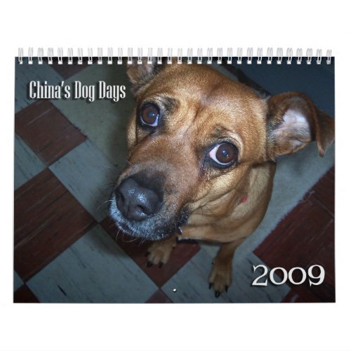 Chinas Dog Days 2009 Calendar