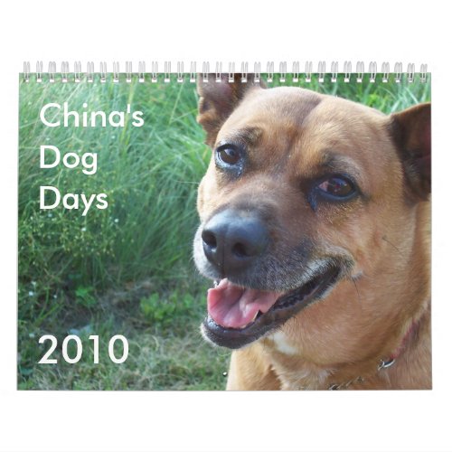 Chinas Dog Days 2010 Calendar