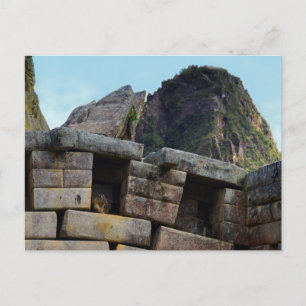 Chinchilla at Machu Picchu, Peru Postcard