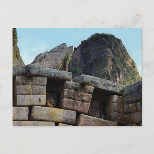 Chinchilla at Machu Picchu Peru Postcard
