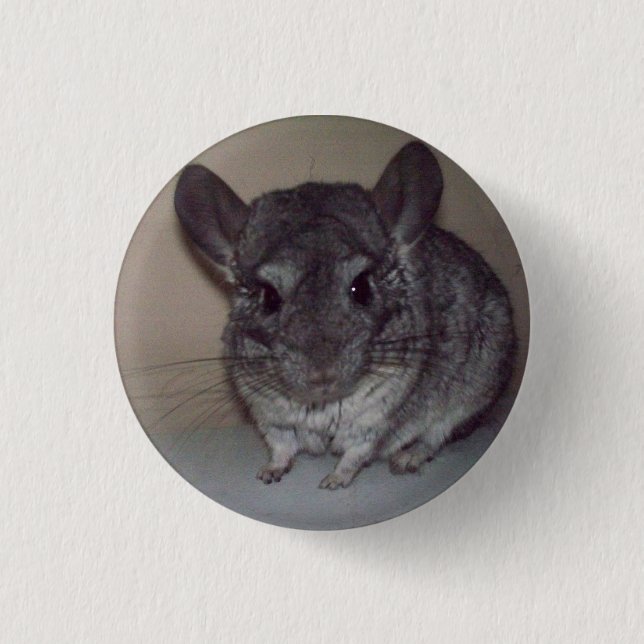 Chinchilla Button (Front)
