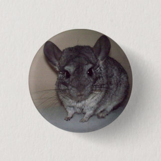 Chinchilla Button
