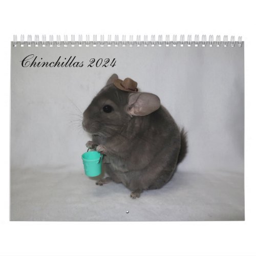 Chinchilla Calendar