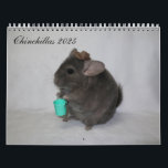 Chinchilla Calendar<br><div class="desc">12 months of chinchillas posed themes</div>