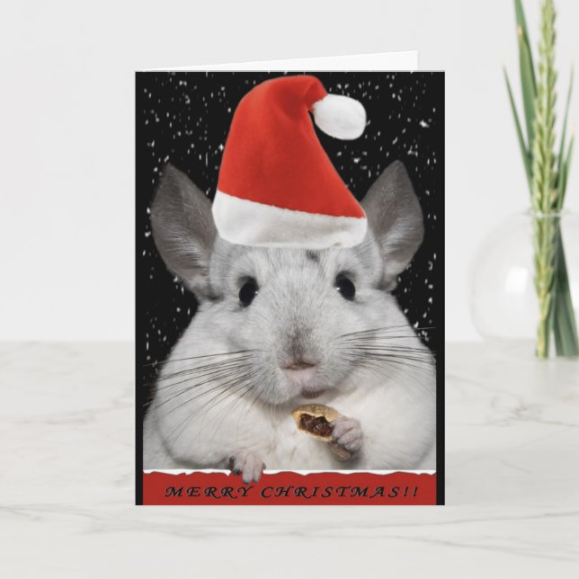 Chinchilla Christmas Card (Front)
