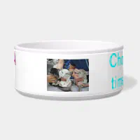 Chinchilla food hot sale bowl