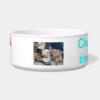 chinchilla food bowl