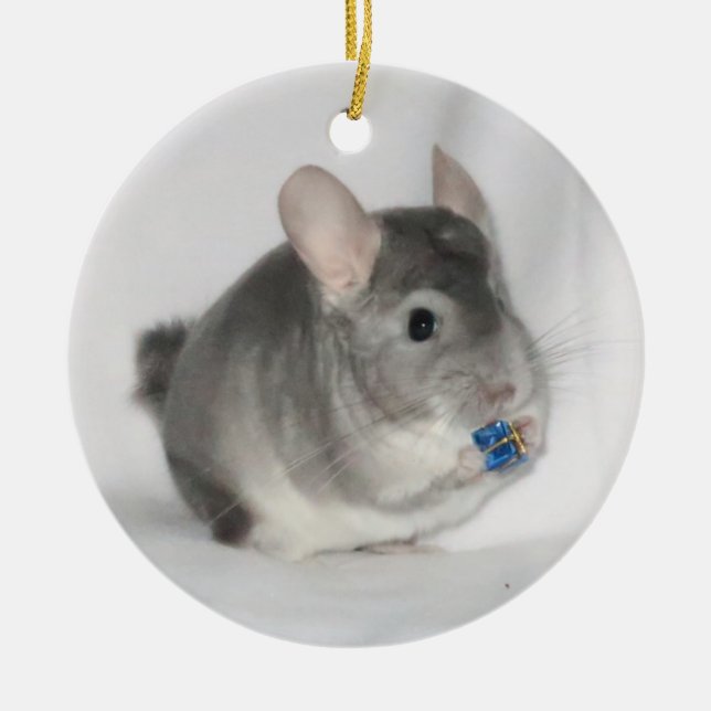 Chinchilla holding present ceramic ornament (Front)