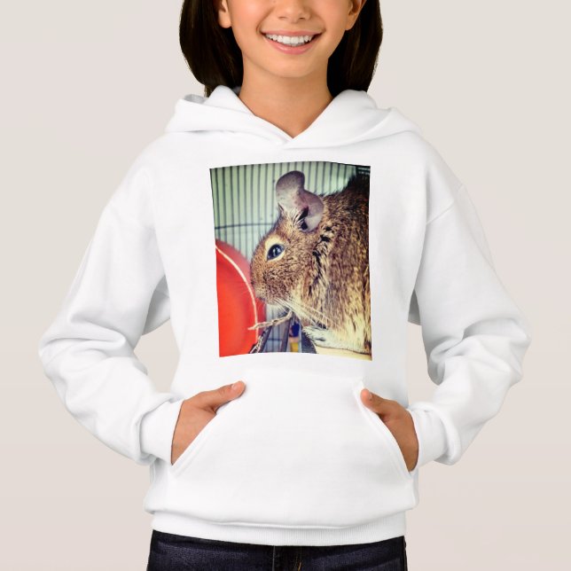 Chinchilla  hoodie (Front)