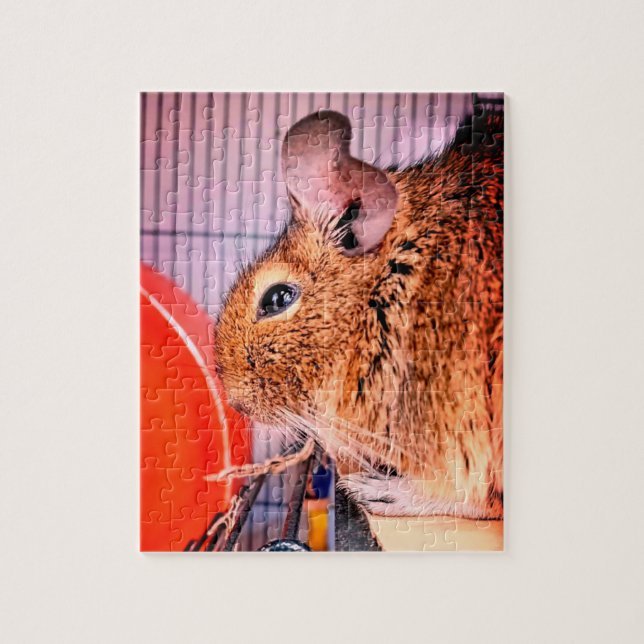 Chinchilla Jigsaw Puzzle (Vertical)