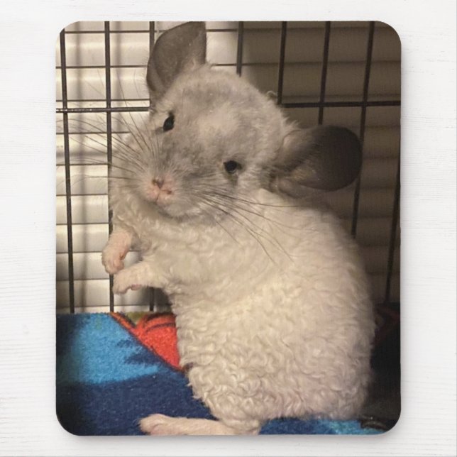 chinchilla mouse pad (Front)