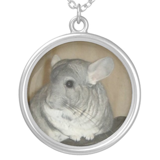 Chinchilla Necklace (round) (Front)