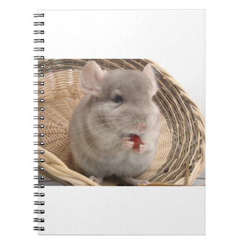 chinchilla notebook