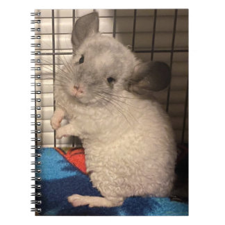 chinchilla notebook