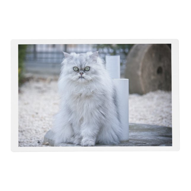 chinchilla persian placemat (Front)