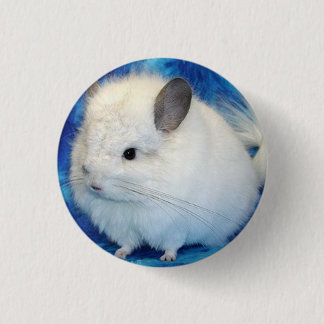 chinchilla pinback button