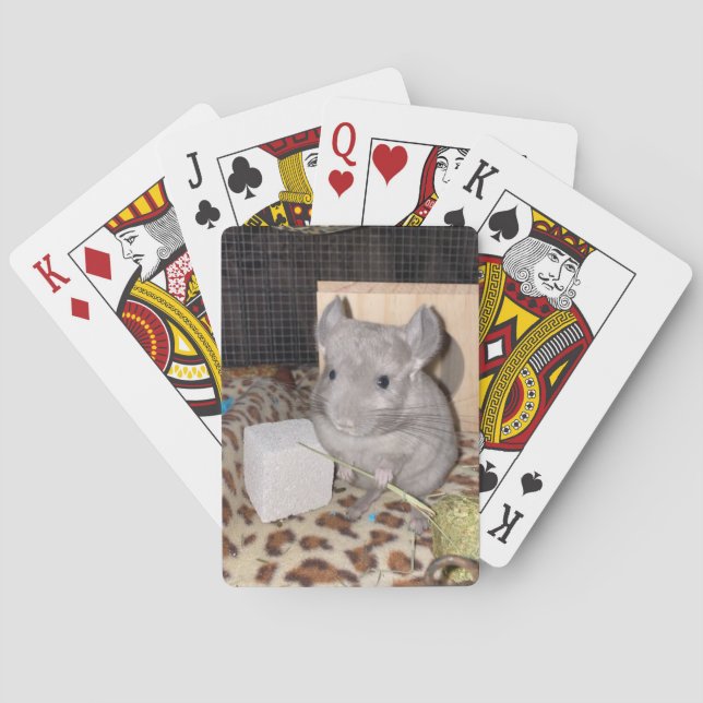 chinchilla poker cards (Back)