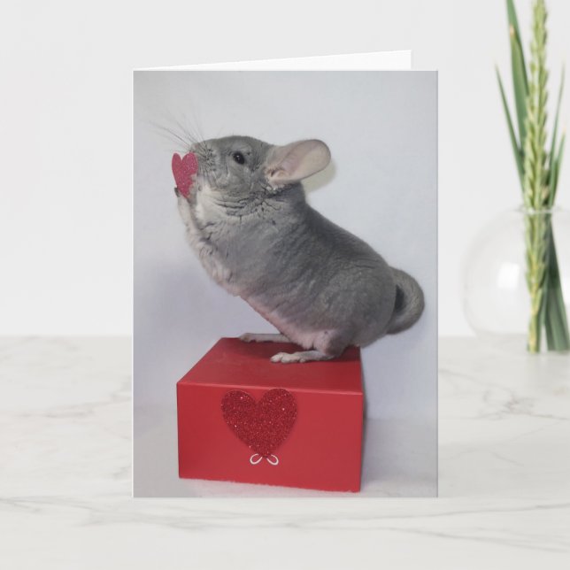 Chinchilla reaching for pink heart card (Front)