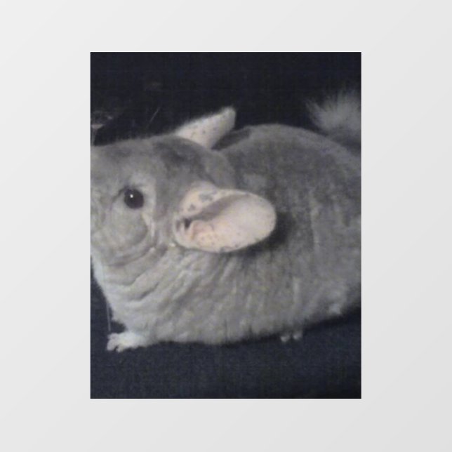 Chinchilla Shaped Keychain (Front)