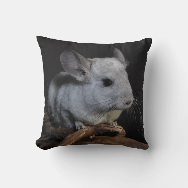 Chinchilla Throw Pillow (Front)