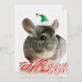 Chinchilla with candy canes (Front/Back)