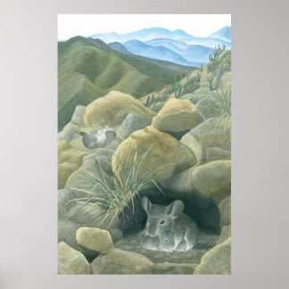 Chinchillas in the Wild Poster