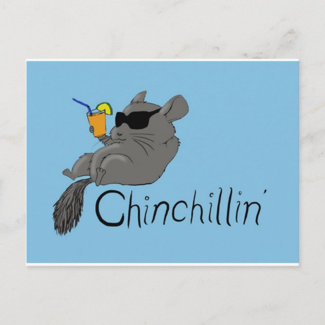 chinchillin postcard (Front)
