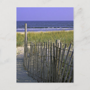 Chincoteague National Wildlife Refuge Postcard