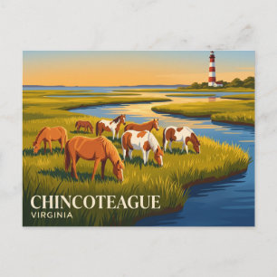 Chincoteague National Wildlife Refuge USA Postcard