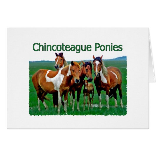 Chincoteague Ponies (family) Cards (Front Horizontal)