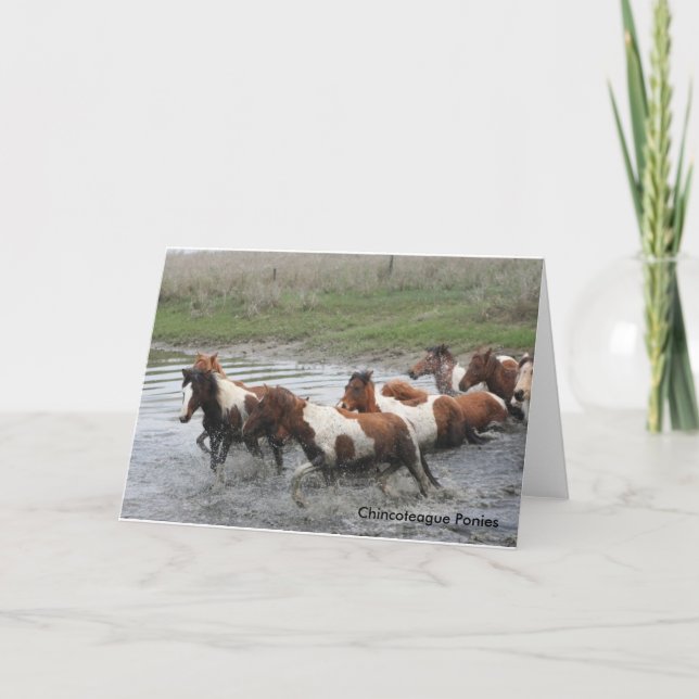 Chincoteague Ponies Greeting Card (Front)