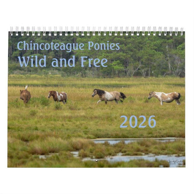 Chincoteague Ponies Wild and Free 2026 Calendar (Cover)