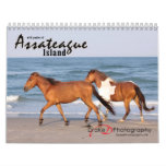 Chincoteague Pony Calendar at Zazzle