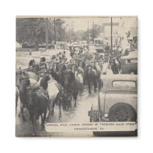 Chincoteague Pony Vintage 1941 Postcard