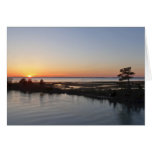Chincoteague Sunset I Virginia Landscape Cards