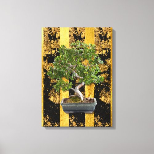 Chinese Asian Bonsai Tree Stretched Canvas Print