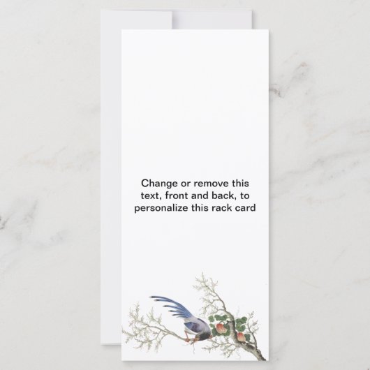 Chinese Bird Painting (Back)