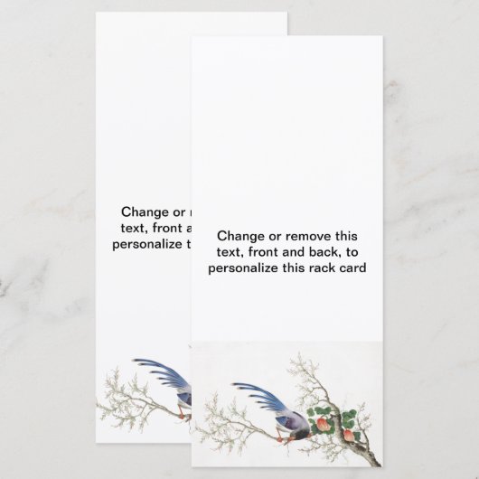 Chinese Bird Painting (Front/Back)