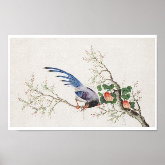 Chinese Bird Painting Poster (Front)