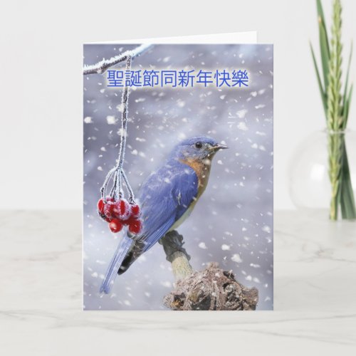 chinese christmas card _ blue bird with berries an