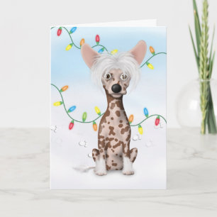 Chinese Crested 1 Christmas CR1 Holiday Card