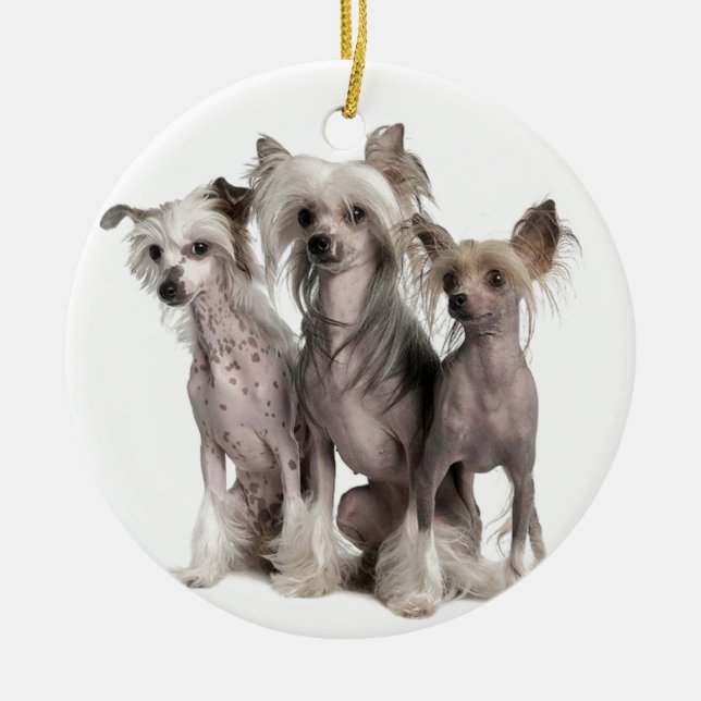 Chinese Crested Ceramic Ornament (Front)