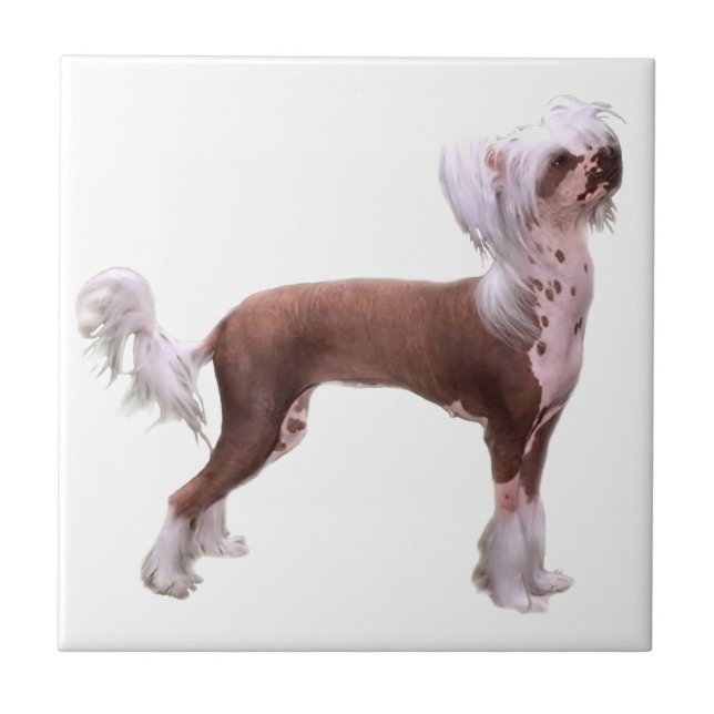 Chinese Crested Ceramic Tile (Front)
