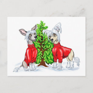 Chinese Crested Christmas Tree Holiday Postcard