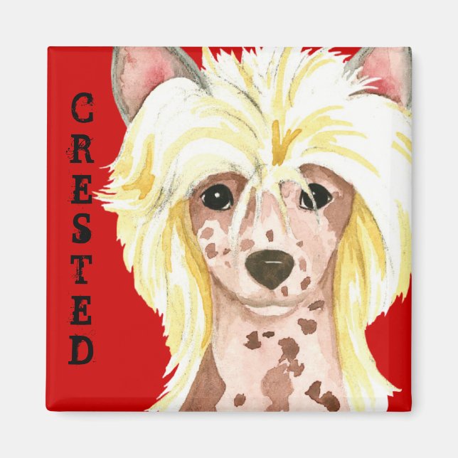 Chinese Crested Color Block Magnet (Front)
